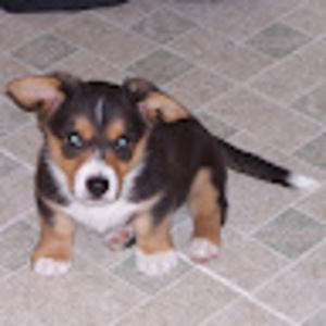 Meet your Posher, Joanne